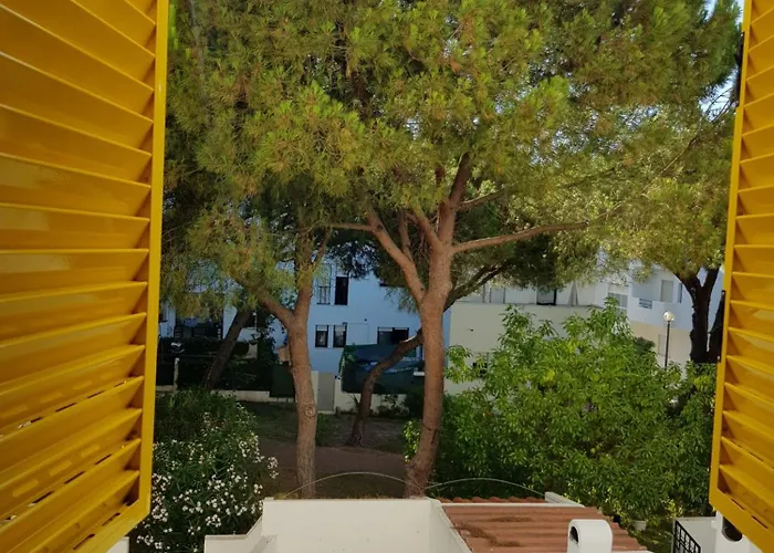 Gelbblau Falesia