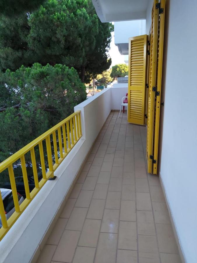 Gelbblau Falesia * Albufeira