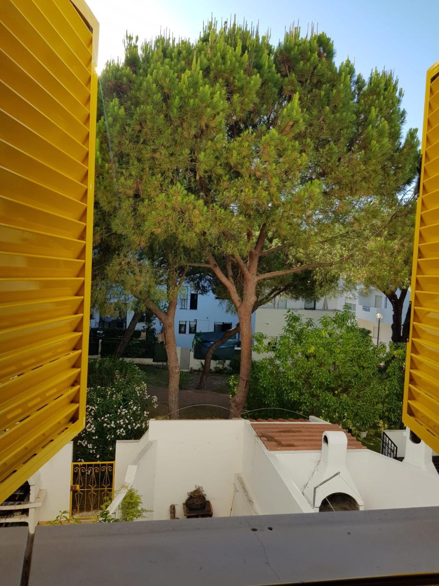 Apartamento Gelbblau Falesia